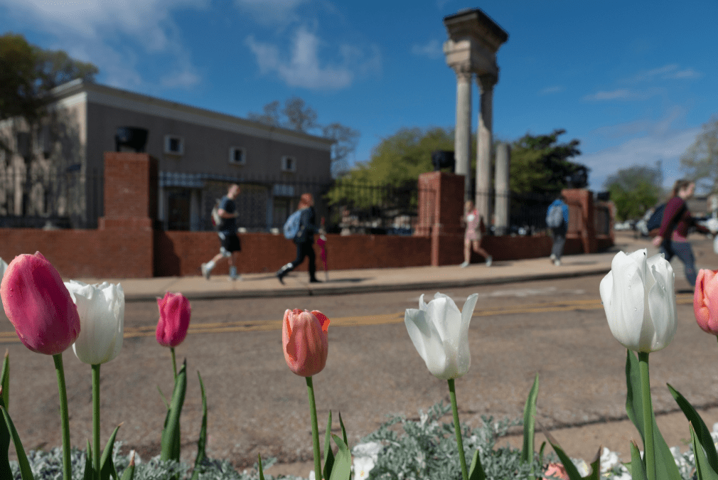 Students walk past MSU's Cobb Institute of Archaeology. (Photo by Megan Bean)