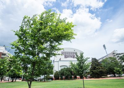 Trees frame MSU’s Junction near Davis Wade Stadium. (Photo by Cameron Mazingo)