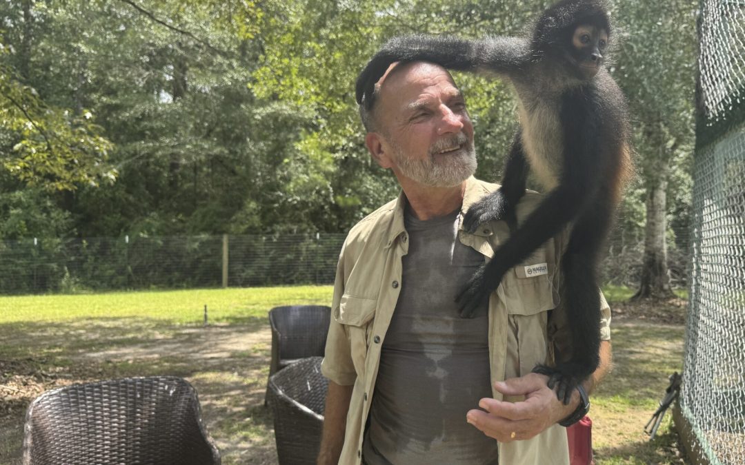 A Mississippi monkey sanctuary helps veterans with PTSD find peace