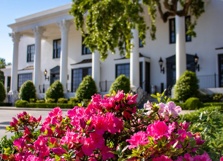 Discover Mississippi: The White House Hotel