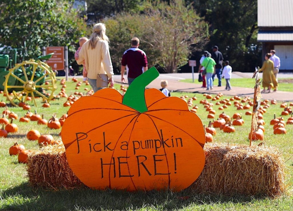 The Mississippi Agriculture and Forestry Museum will host its annual Pumpkin Adventure event October 8-11, 15-18 and 22-25.