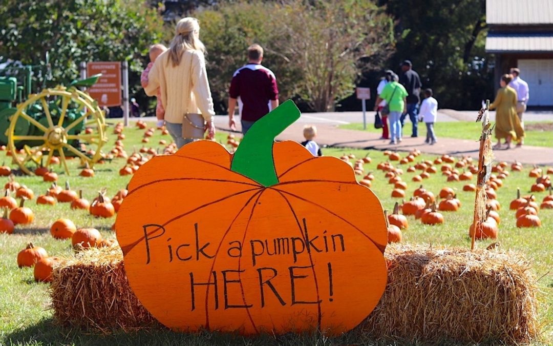 Mississippi Agriculture and Forestry Museum Announces Annual Pumpkin Adventure