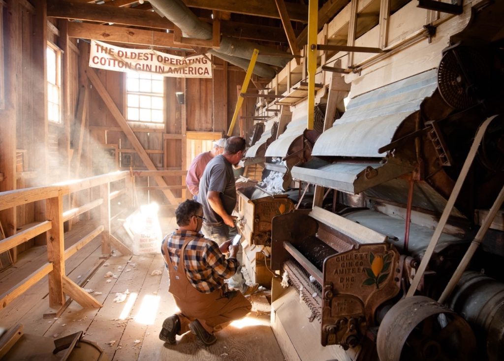 Visitors will experience live demonstrations of the oldest operating cotton gin in America, and so much more, during the upcoming Harvest Festival taking place November 4-8 at the Mississippi Agriculture and Forestry Museum.