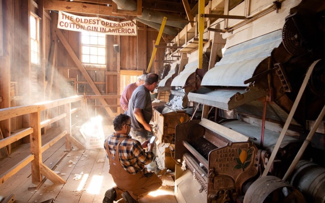 Mississippi Agriculture and Forestry Museum to Host Annual Harvest Festival