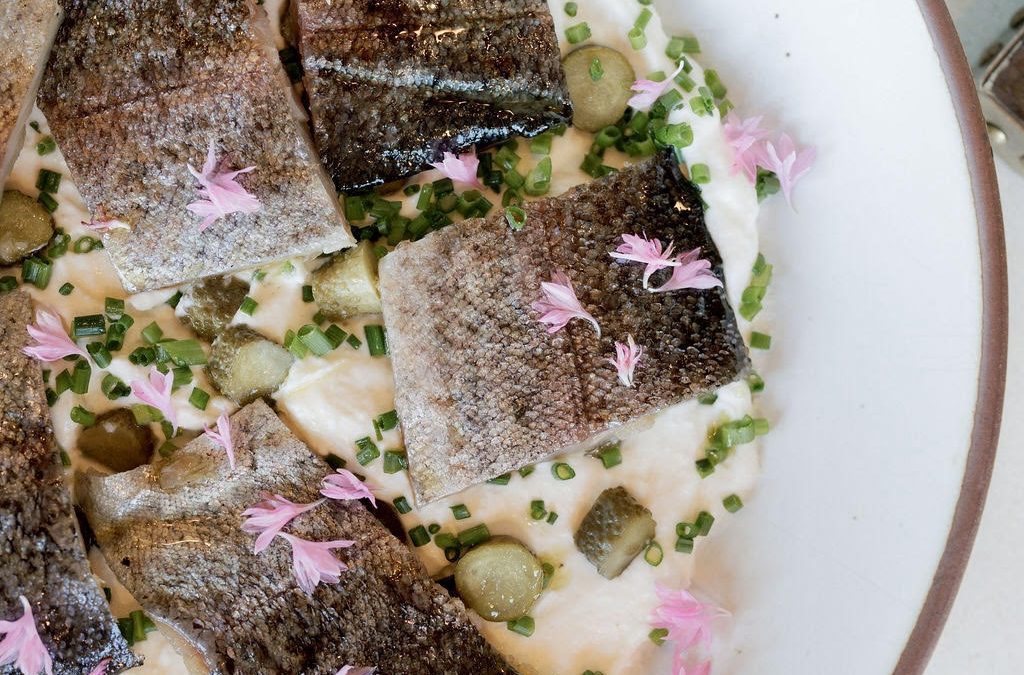 Kara’s Sights and Bites: North Carolina trip highlighted by fresh Appalachian cuisine with a Southern flair