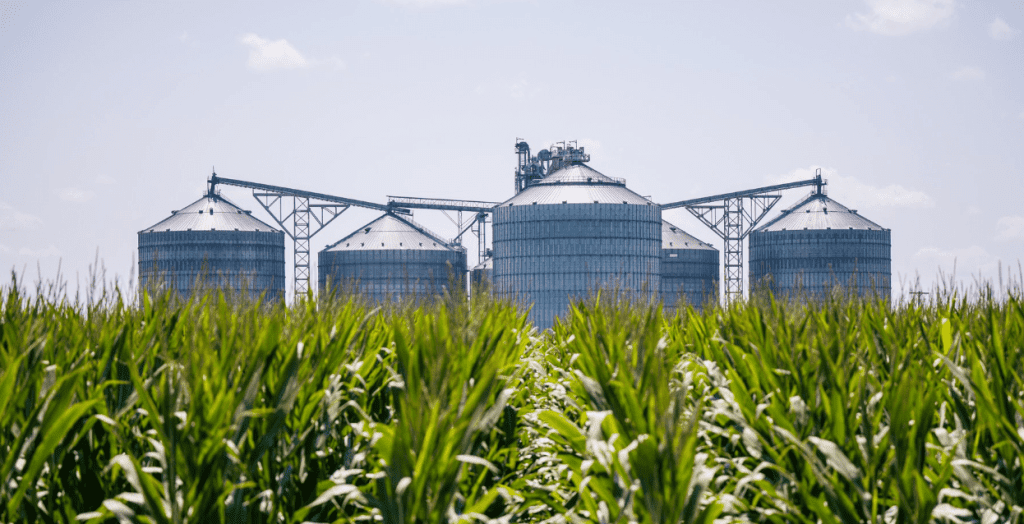 (Photo from Delta Grain on Facebook)