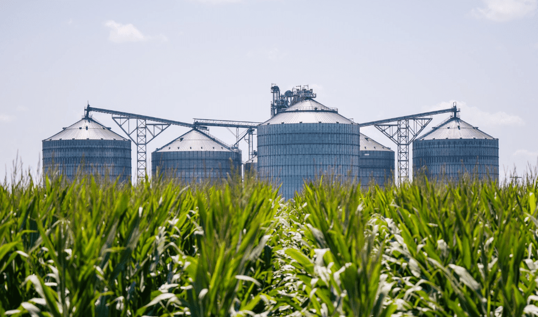 Delta Grain investing $3.76 million to expand Sidon operations
