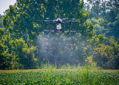 MSU researchers demonstrate unmanned aircraft systems with spray capabilities during a recent agronomy field day. (Photo by David Ammon)