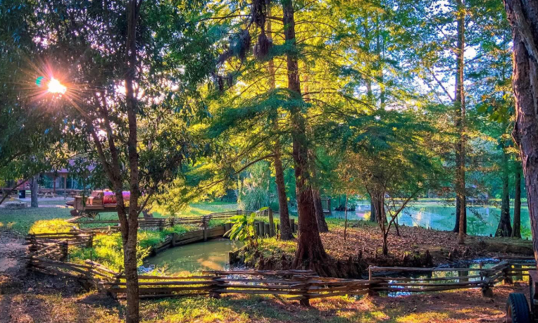 A step back in time at Landrum’s Homestead and Village