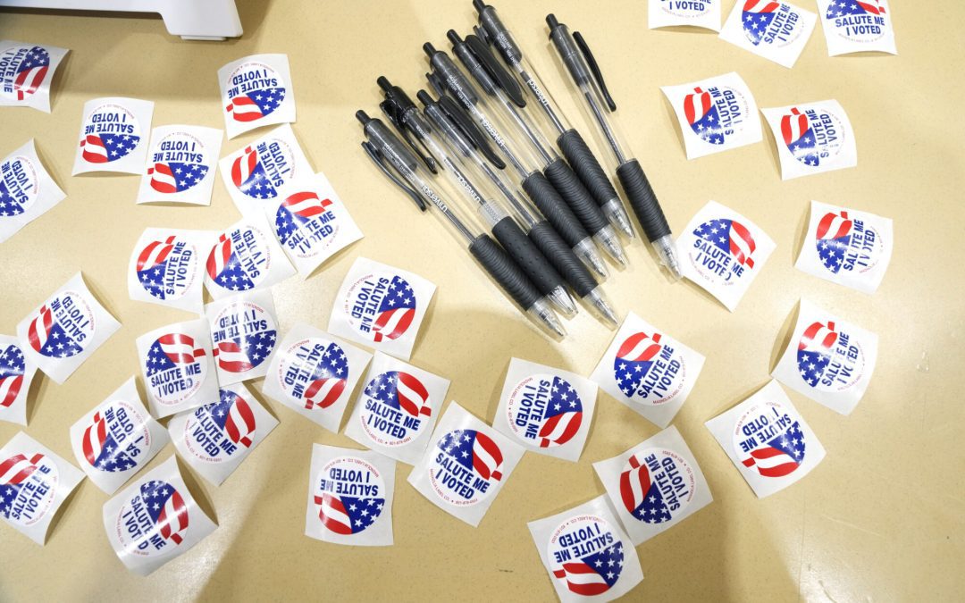 Two state Senate special runoff elections to be decided December 2