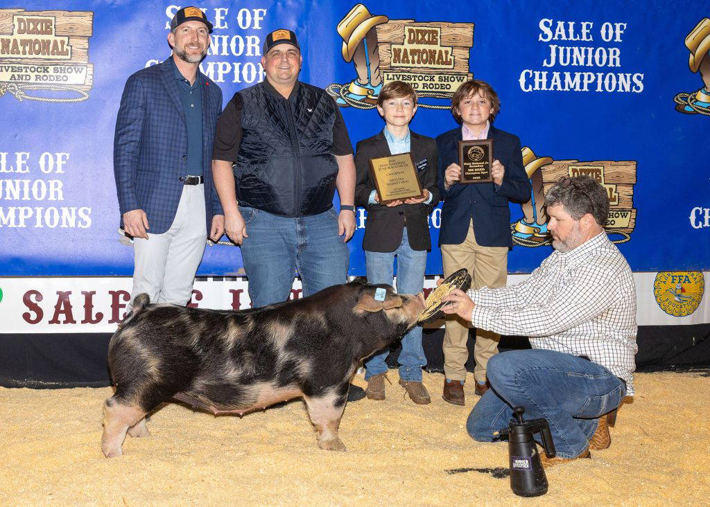Champion Spotted/MS Bred Champ Spotted Market Hog. Exhibited by Caine Fagan, Madison 4-H.