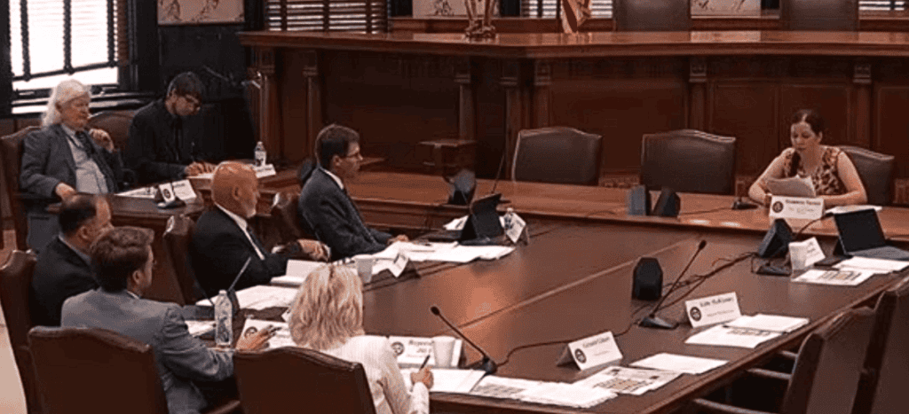 AI Task Force hearing, July 2026 (From livestream)