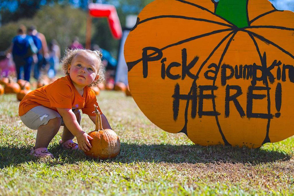 The Mississippi Agriculture and Forestry Museum will host its annual Pumpkin Adventure event October