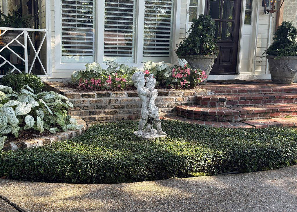 Asian jasmine is a workhorse in Southern gardens, spreading along the soil and forming a dense carpet of foliage. (Photo by MSU Extension/Eddie Smith)